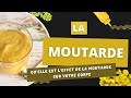 Ref:mC02VVjPvf0 La moutarde super-aliment puissant pour la sant�! je vous dis tout! #mustard #mustardseeds
