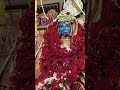 aj krisno kali maa bassorik pujo ma tumi valo thako sobai ka valo rakho