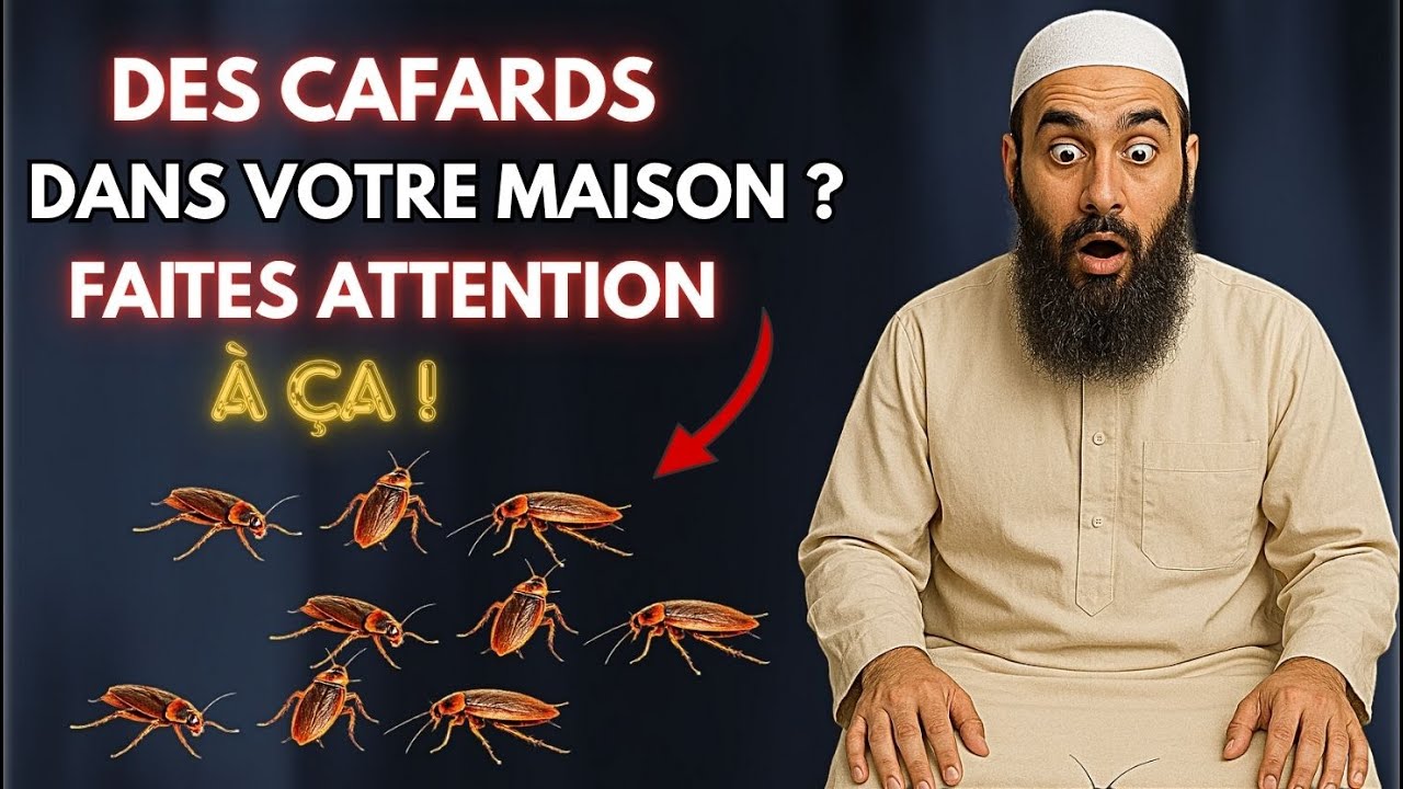 Des Cafards Chez Vous ? Ce Signe Spirituel Va Vous Surprendre ! | ISLAM