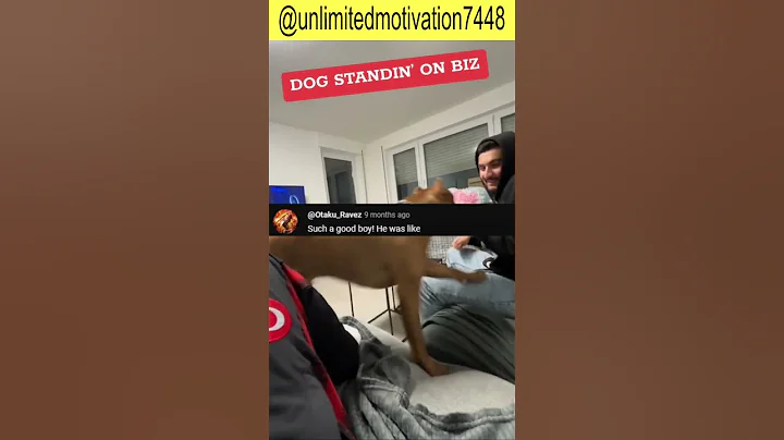 The Best BODYGUARD - Chat Music