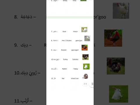 Zarma Songhay Domestic Animals Name Compare To English And Arabic Language