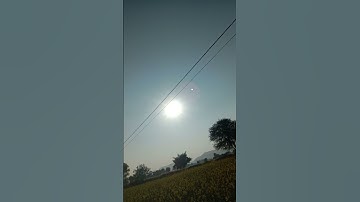 mustard seed farming and farmers status