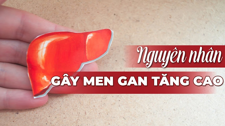 Nguyên nhân bị men gan cao