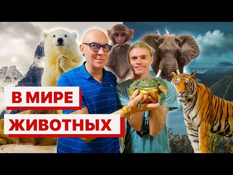 Видео: В мире животных. Путешествия натуралистов. Захватывающие истории