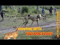 Hunting with tazi dogs 2023  hare hunting with greyhound 2023  galgos vs liebres 2023