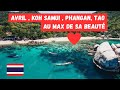 Avril mon mois prfr en thalande dauphins tortues meilleure priode pour samui tao phangan