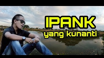 IPANK - yang kunanti (official musik)