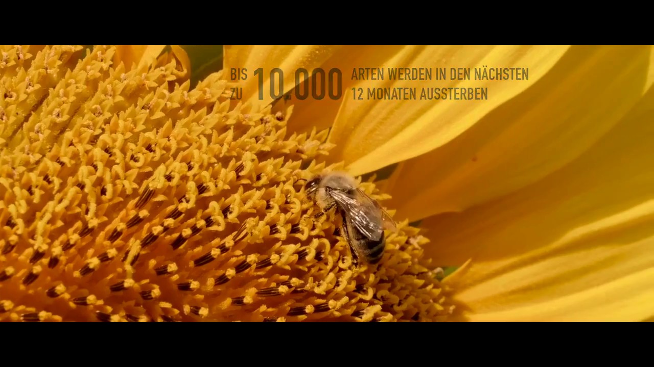 Davines косметика философия и производство - YouTube