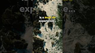 The Gobbins Northern Ireland 🤩 A must do experience! # #northernireland #causewaycoast