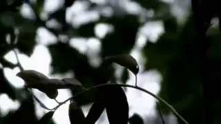 Ağladim Anne Şiir Canan Meli̇s Bayraktar Yorum Selami̇ Tiraşalar