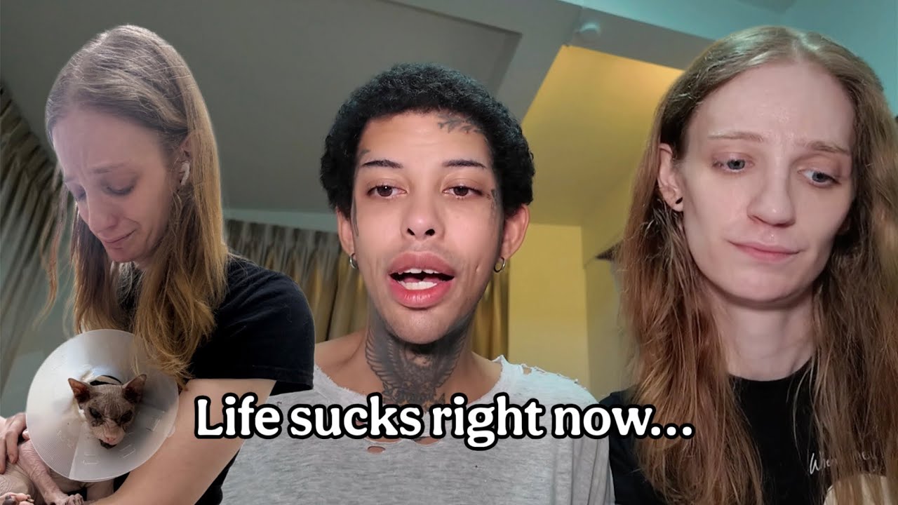 Моя жизнь разваливается на части | новости о здоровье кошки, возвращение в США, что происходит с ...