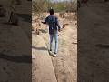 Mini Vlog 13  || Monkey Ne Kaat Liye 😱😭🙏🏻|| #shorts #minivlog #vlog #ytshorts