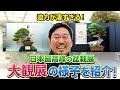 【日本最高峰】あまりの迫力に思わず興奮！Toshiが大観展の盆栽を紹介！
