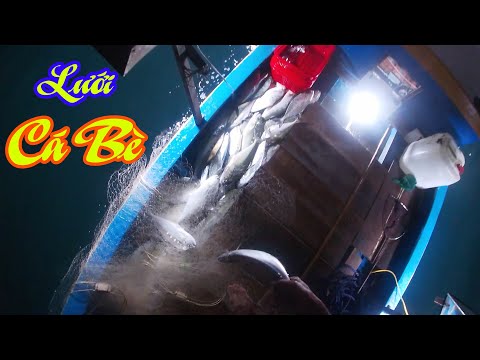 Video đánh lưới cá bè xước bè chang cùng ngư dân đào xuân... - youtube
