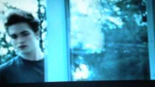 Twilight-Fireflies