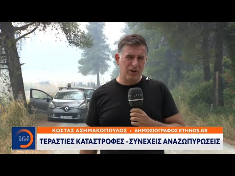 Αγωνιώδεις προσπάθειες να σωθούν χωριά γύρω από την Ιστιαία | Μεσημεριανό δελτίο ειδήσεων | OPEN TV