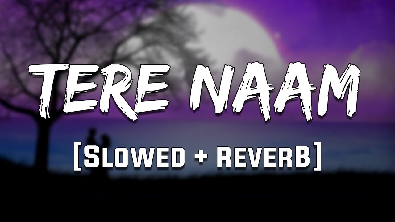 Tere Naam Humne Kiya Hai [Slowed+Reverb] - Udit Narayan, Alka Yagnik |  Salman Khan | old Lofi Songs