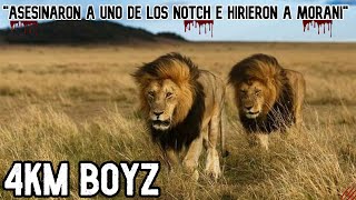 4KM BOYZ | La PESADILLA de los NOTCH y MOSQUETEROS