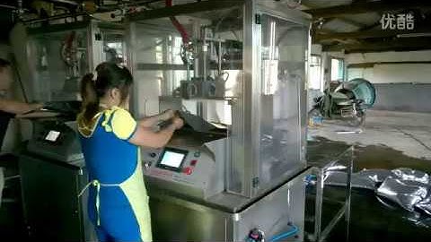 Aseptic BIB bag in box filling machine