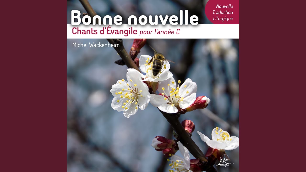 L'Esprit du Seigneur est sur moi (Chant d'Évangile pour le 3e dimanche du temps ordinaire,... adlı videoyu YouTube'da izle L'Esprit du Seigneur est sur moi (Chant d'Évangile pour le 3e dimanche du temps ordinaire,... adlı videoyu YouTube'da izle