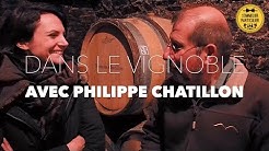 DANS LE VIGNOBLE : Rencontre avec Philippe Chatillon, un des plus grands vignerons du Jura