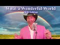 What a Wonderful World - 2020 Edition! - Steve Stewart