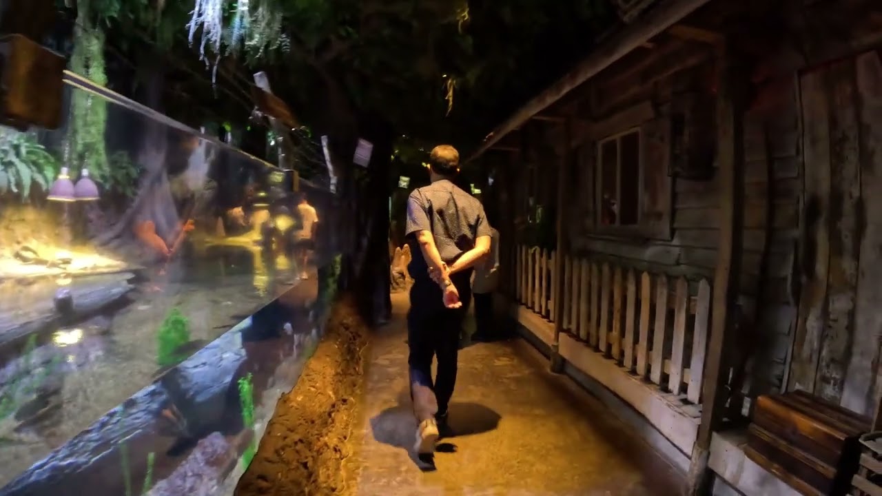 Центральный аквариум, Хьюстон, Техас, США - тур в формате 4K UHD