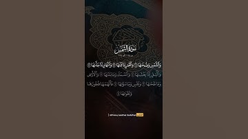 #عبدالباسط_عبدالصمد #تلاوة #آيات #القرآن_الكريم #quran #قرآن #تلاوات #القرآن #تلاوة_خاشعة #قران_كريم
