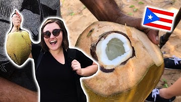 Can You Survive On Just A Coconut?