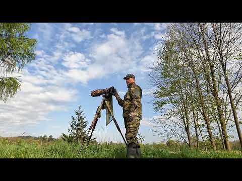 Wstęp do fotografii