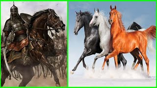 أهم 10معلومات عن الحصان العربي الأصيل ونشأته ودوره في الحروب والفتوحات