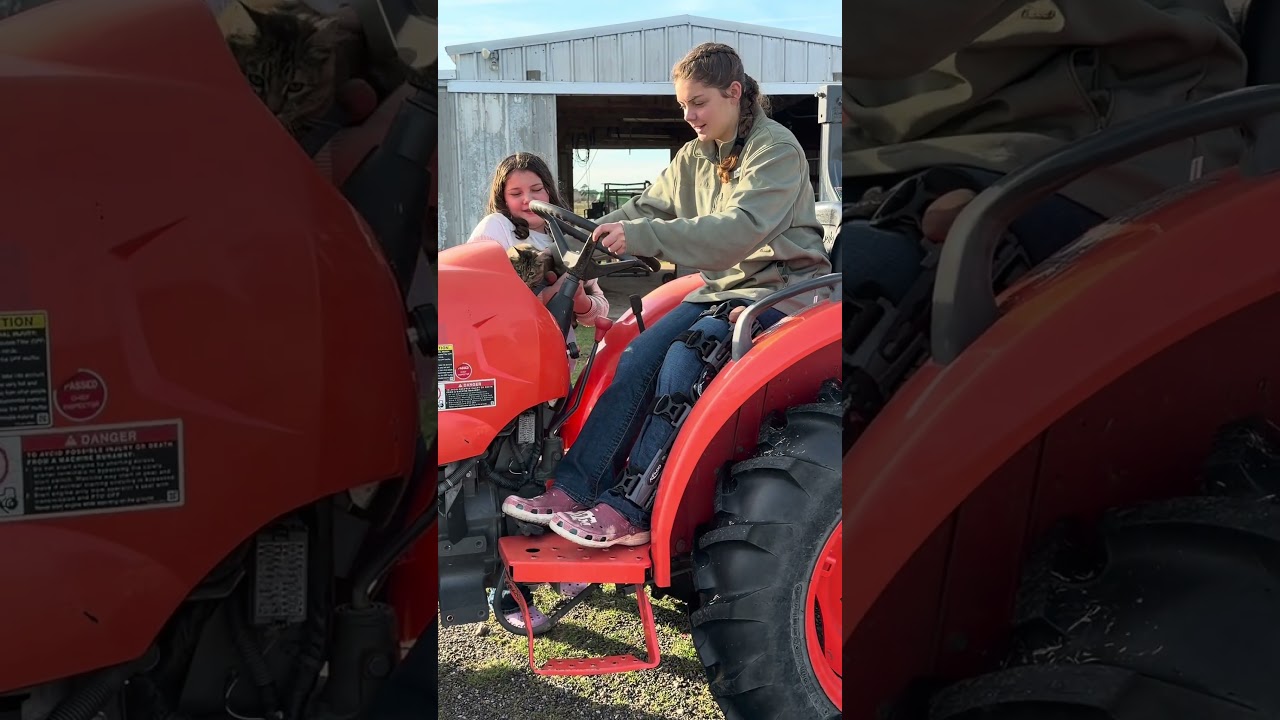 #Команднаяработа