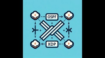 OSPF deep packets inspection using eBPF XDP