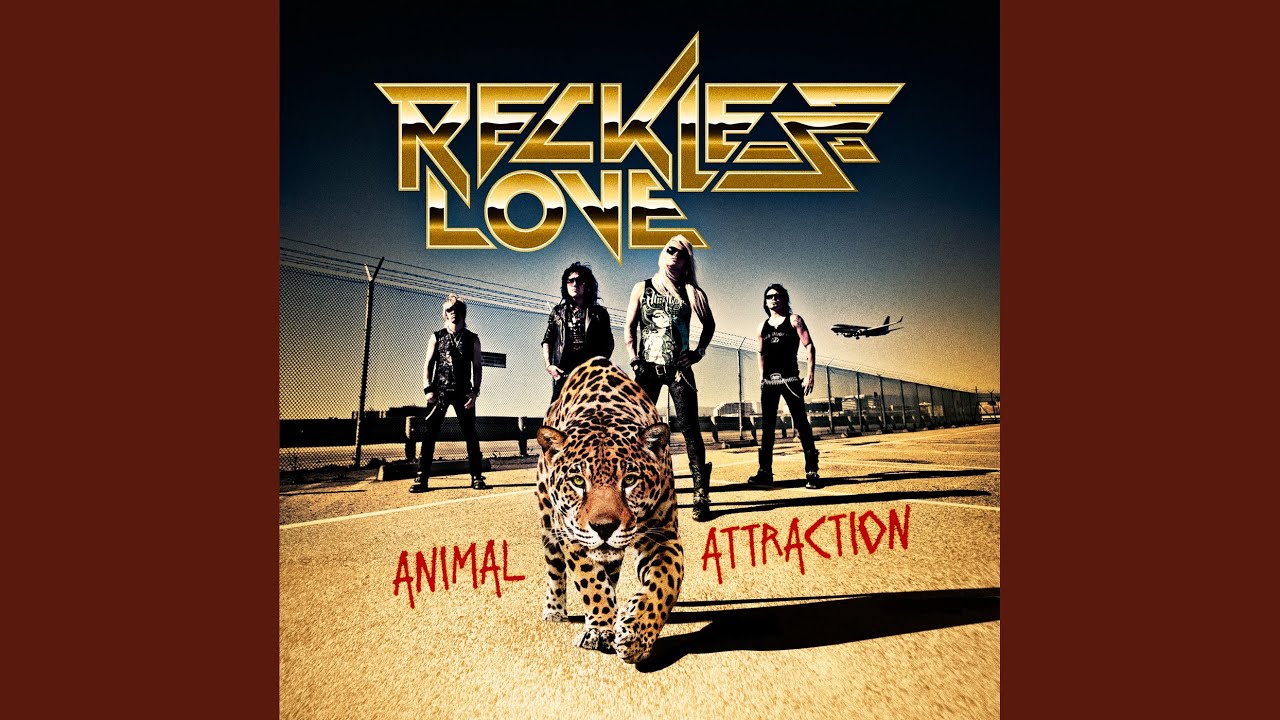 Animal Attraction - YouTube