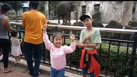 Ke Taman Margasatwa Ragunan Zoo Bareng Alesha 💕 Part 1
