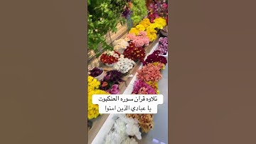 تلاوه قران سوره العنكبوت يا عبادي الذين امنوا. #ارح_قلبك #اكسبلور #القارئ_عبدالرحمن_مسعد