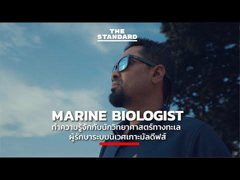 ทำความรู้จักกับ Marine Biologist นักวิทยาศาสตร์ทางทะเล ผู้รักษาระบบนิเวศเกาะมัลดีฟส์