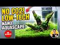 EASY Nano Planted Tank Setup for Beginners: The Ultimate No CO2 Guide! 🌿