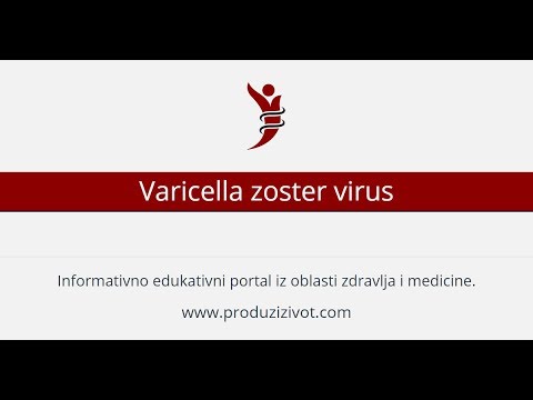 Varicella zoster virus: uzročnik varičele (ovčije boginje) i herpes zostera