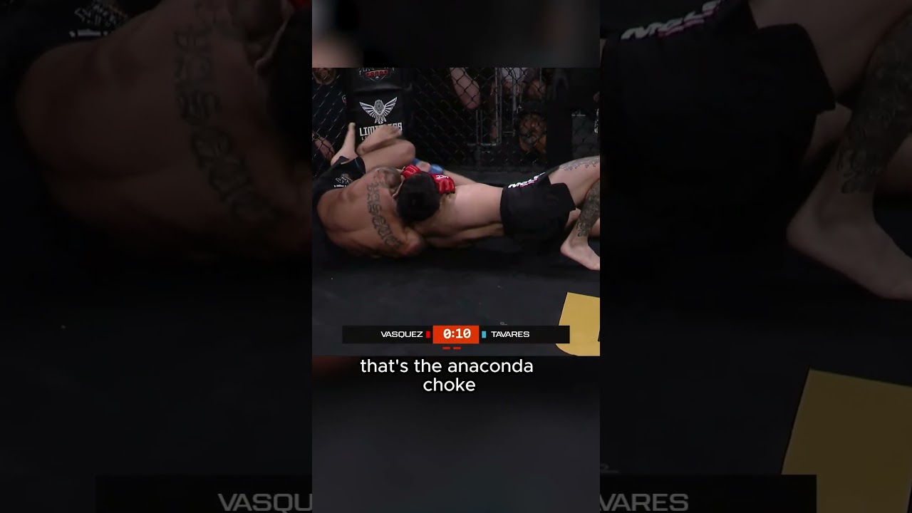 Erin Vasquez crazy anaconda choke on Tavares