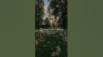 آيات من سورة النمل بصوت الشيخ ياسر الدوسري || #اكسبلور #قرآن