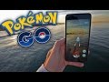 PELEAS DE GAVIOTAS! Pokemon GO - [LuzuGames]