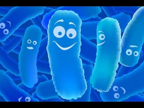 Video: Lactobacterin - Instructies, Beoordelingen, Toepassing