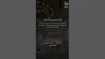 ﴿أَمَّن يُجيبُ المُضطَرَّ إِذا دَعاهُ﴾ #فيصل_الهاجري #سورة_النمل #القرآن_الكريم #تلاوات #quran
