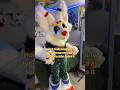 YUCCKKKKY !!! Sorry it just grosses me out 😣 #furryfandom #therian #fursuit #clown #furry #fyp