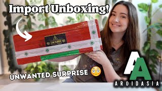 Aroid Asia Import UNBOXING! 7 Plants and Some Unwanted guests