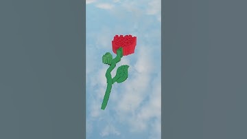 Blender Domino rose animation🌹