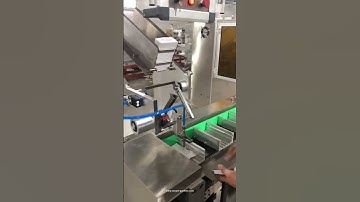 Automatic leaflet manual paper paging feeding cartoning packing machine encaser line