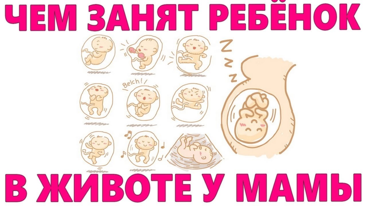 ЧЕМ ЗАНИМАЕТСЯ РЕБЕНОК ПОКА НАХОДИТСЯ У МАМЫ В ЖИВОТЕ | Что чувствует ребёнок в утробе мамы
