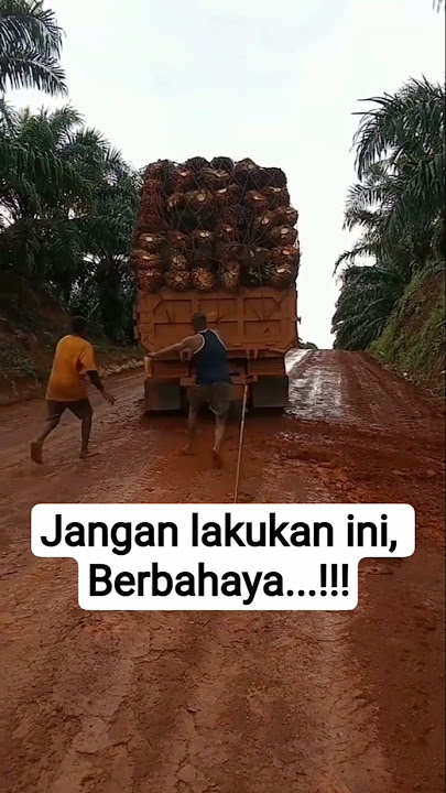 This action is dangerous..